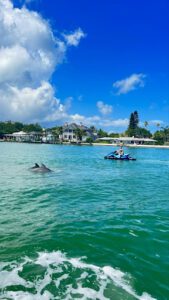 Beautiful shot of dolphins and jet skiers at St. Pete/Clearwater